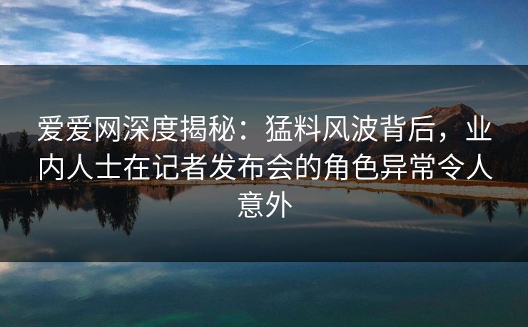 爱爱网深度揭秘：猛料风波背后，业内人士在记者发布会的角色异常令人意外